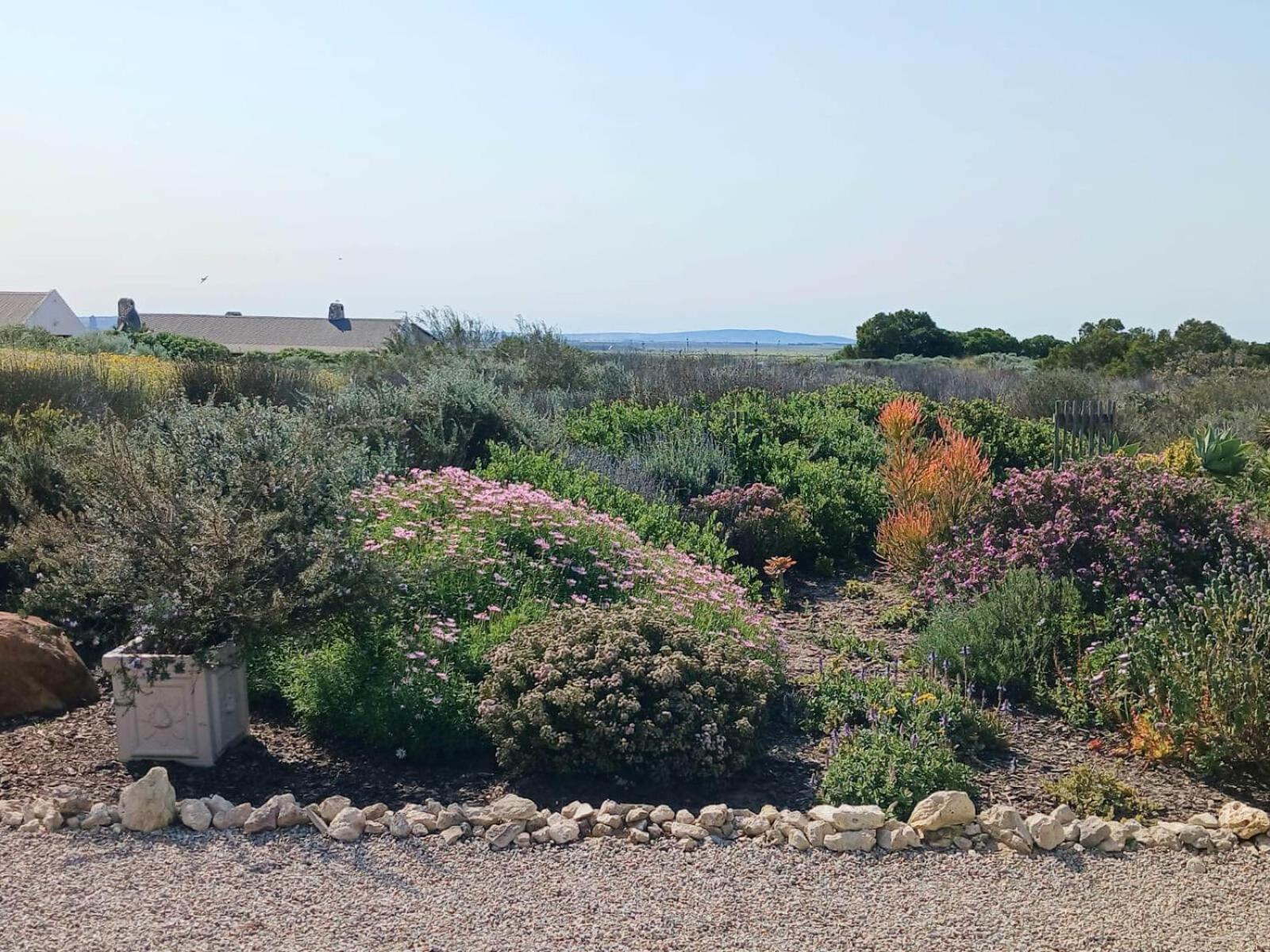 Camelot Cottages Langebaan Ngoại thất bức ảnh