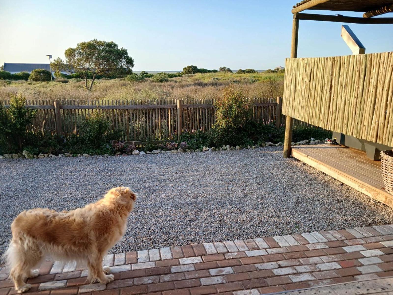 Camelot Cottages Langebaan Ngoại thất bức ảnh