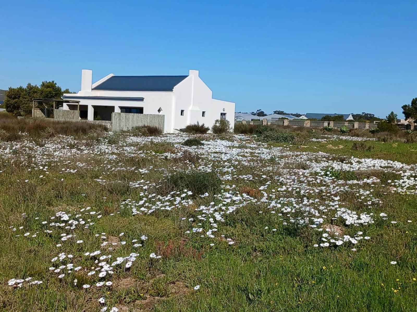 Camelot Cottages Langebaan Ngoại thất bức ảnh