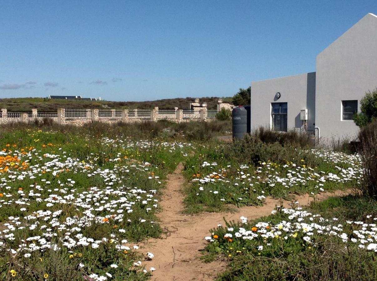 Camelot Cottages Langebaan Ngoại thất bức ảnh