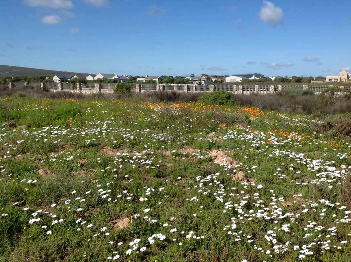Camelot Cottages Langebaan Ngoại thất bức ảnh